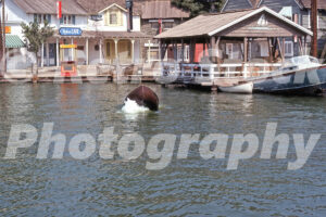 A 1970s color photo of the Jaws attraction at Universal Studios Hollywood in California, showing a small wooden boat being capsized by an explosion in the water in front of the Amity Village buildings.