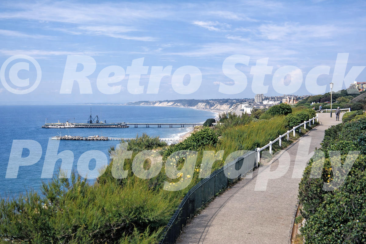 1950s photo of Bournemouth seafront, with a clifftop promenade, shrubs, Bournemouth Pier and a pleasure boat moored at the end of the pier.