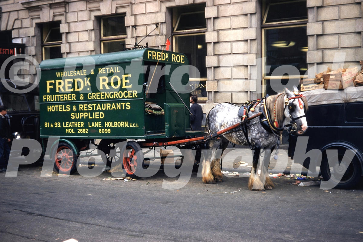 A 1950s colour photo of a horse-drawn delivery cart for Frederick Roe fruiterer and greengrocer on a London street in 1956.