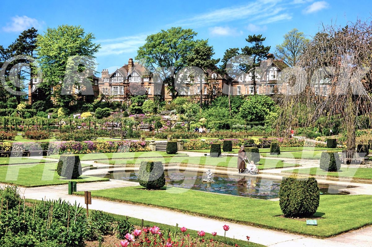 1960s view of Kingsnorth Gardens in Folkestone, with formal lawns, flower beds, clipped hedges, a lily pond and houses beyond.