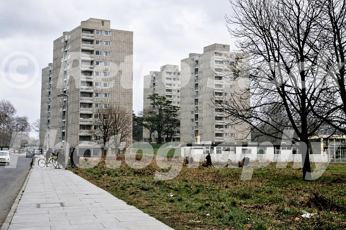 1960s view of the Alton Estate in Roehampton, London, with modernist slab blocks, bare trees, wide pavement and unfinished landscaping.