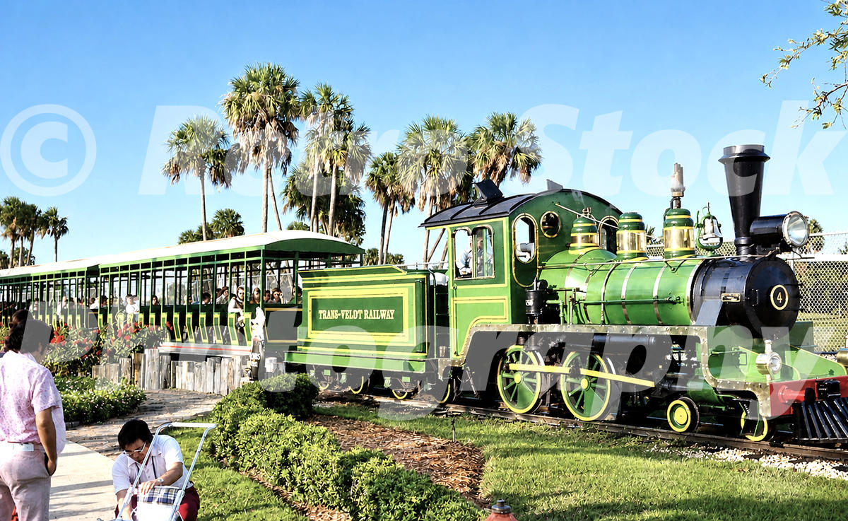 A 1970s color photo of the Trans-Veldt Railway steam locomotive No. 4 at Busch Gardens in Tampa, Florida, featuring a green and gold engine pulling open-air passenger cars past palm trees.