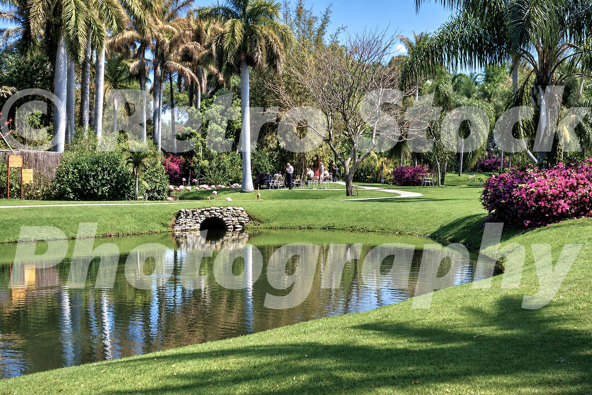 A 1960s color photo of the lush tropical gardens at Cypress Gardens in Winter Haven, Florida, featuring a stone bridge over a calm pond surrounded by palm trees and pink bougainvillea.