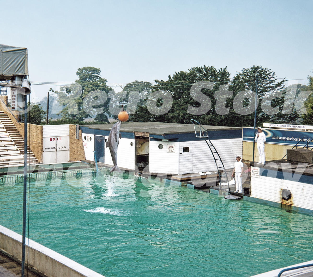 Dolphin show at Windsor Safari Park with trainers and pool, 1970s
