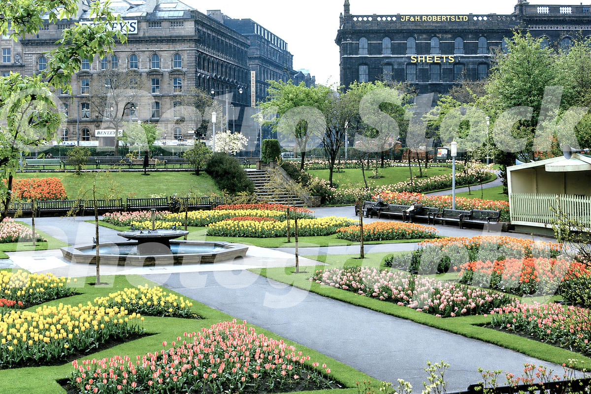 1960s view of Piccadilly Gardens in Manchester, with tulip beds, lawns, paths, benches, fountain and surrounding city-centre buildings.